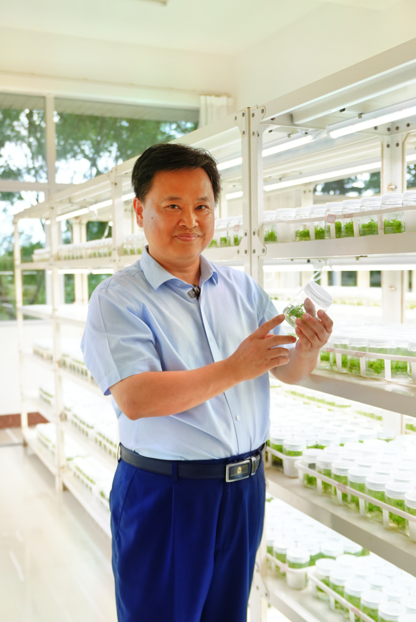 科技“唤醒”南药！广藿香荒坡扎根、化橘红变爆珠，詹若挺团队解锁“绿色宝藏”