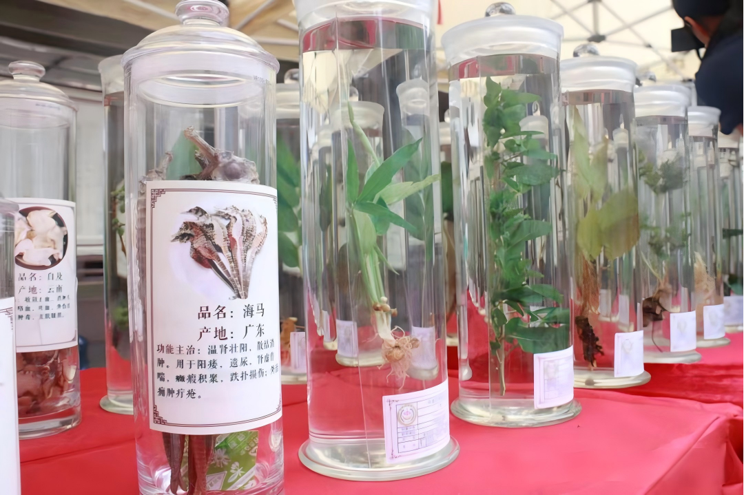 “百市千县”中医药文化惠民活动｜闻药香、做香囊、学养生…云南威信这场中医药文化盛宴你打卡了吗？
