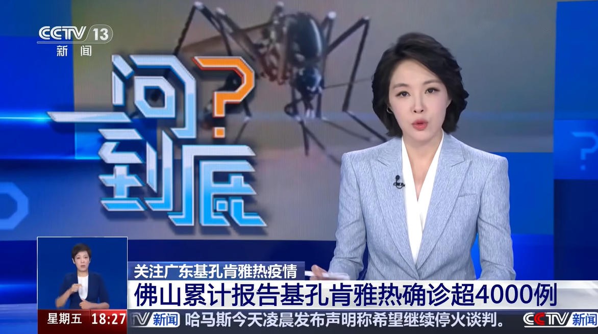 基孔肯雅热属“湿热疫”！中医专家：选方用药时既要注意清暑热，也要避免过于寒凉而妨碍湿邪的祛除