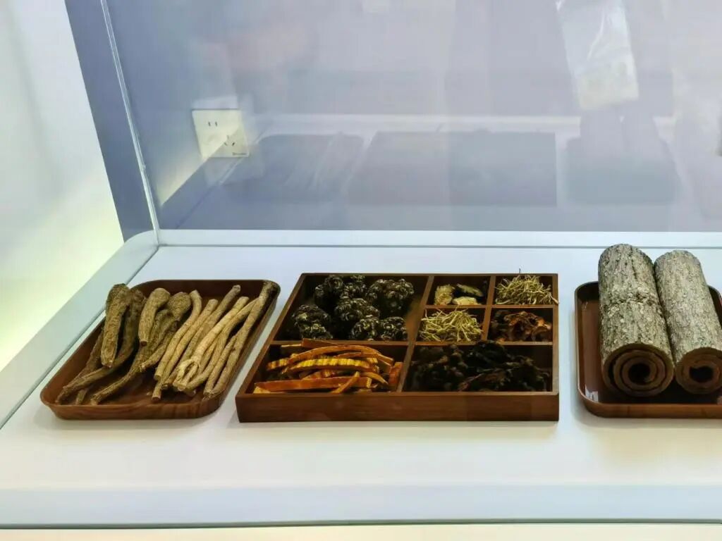 岐黄之道，和合共生！中医药“圈粉”上合朋友圈