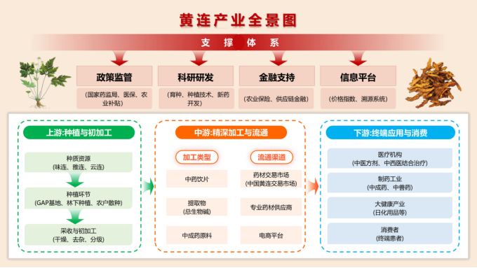 年交易量超过3000吨，年交易额突破10亿！重庆发布黄连产业图谱