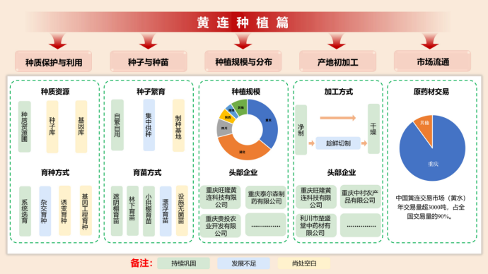 年交易量超过3000吨，年交易额突破10亿！重庆发布黄连产业图谱