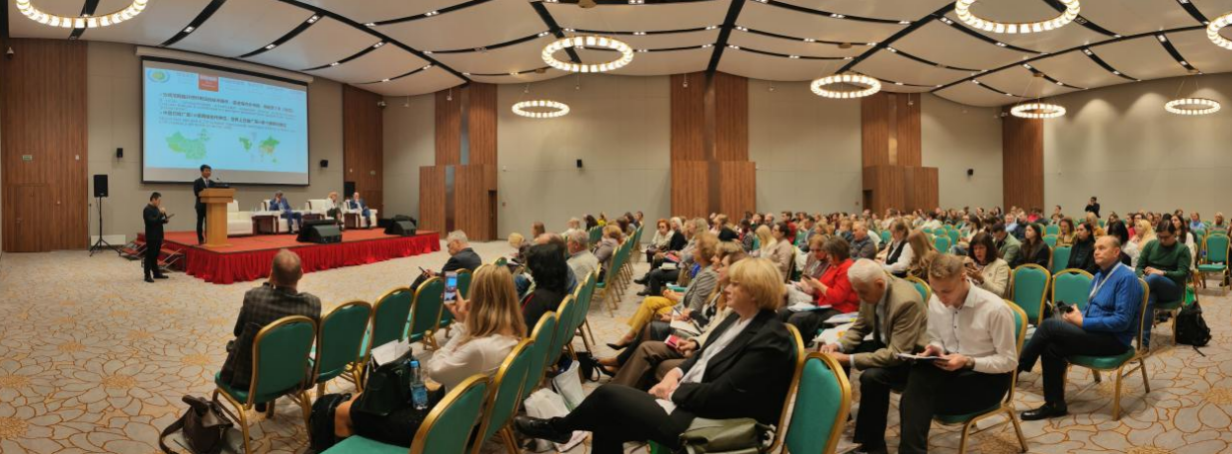 岐黄智慧在明斯克绽放光彩！中国—白俄罗斯中医药合作结出“五个一”硕果