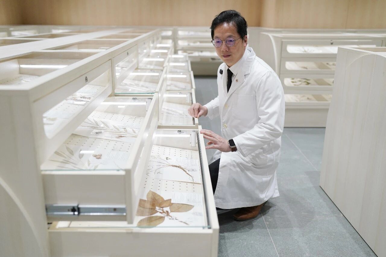 看!香港着力建设中医药走向国际“桥头堡” 看!香港着力建设中医药走向国际“桥头堡”