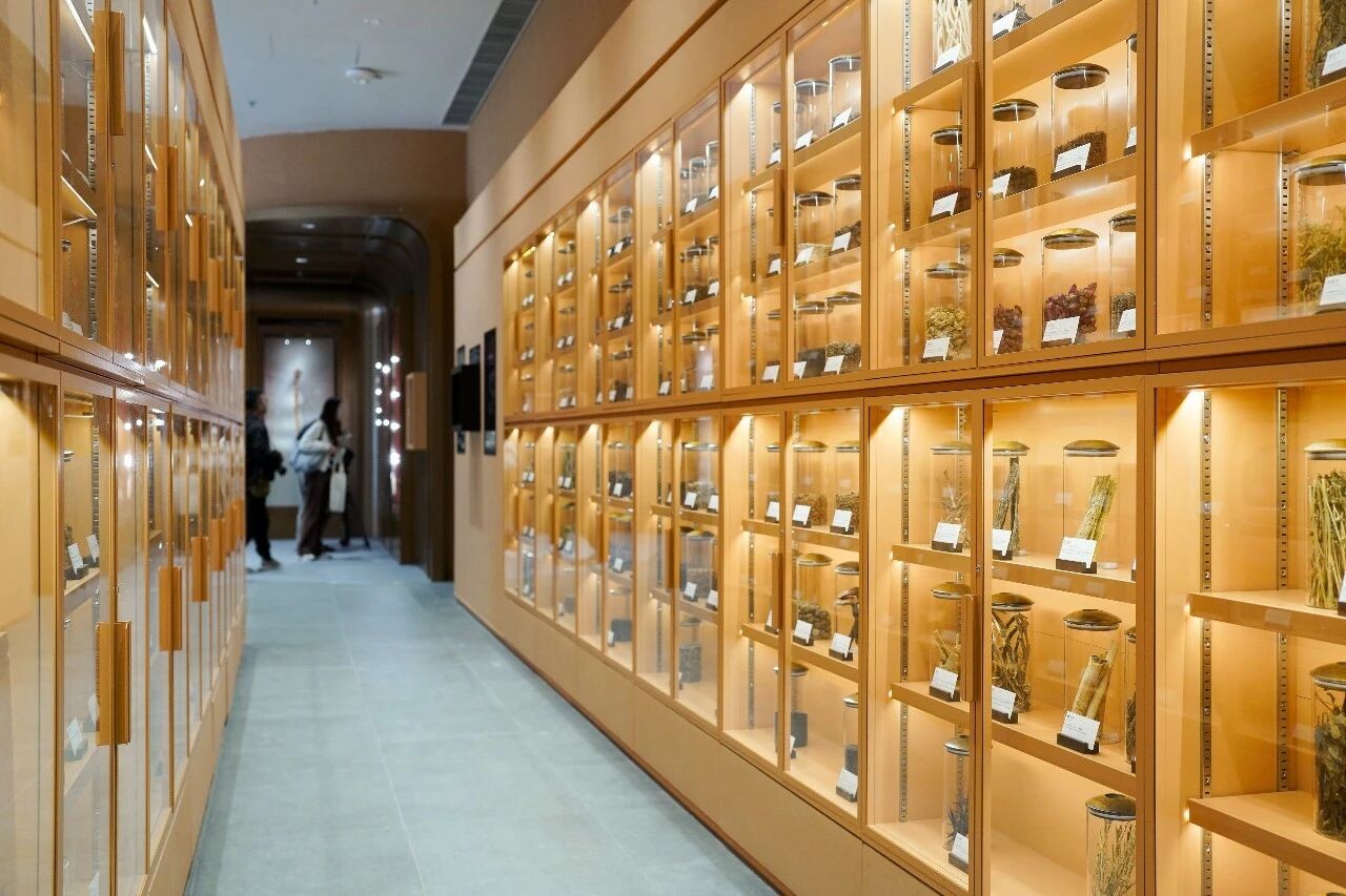 看！香港着力建设中医药走向国际“桥头堡”