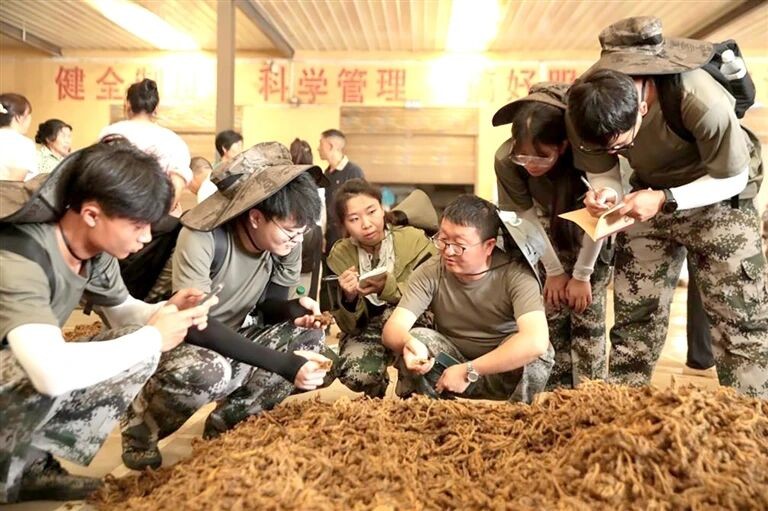 安徽中医药大学大学生中药资源科学考察队：踏遍山河只为“一株草”