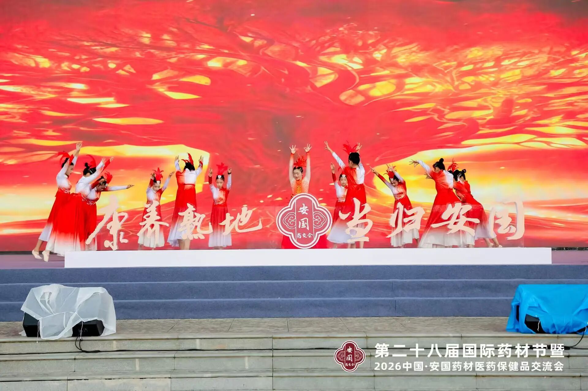 河北安国中药材安全性与有效性指标合格率双提升!第二十八届国际药材节在河北安国开幕 河北安国中药材安全性与有效性指标合格率双提升!第二十八届国际药材节在河北安国开幕