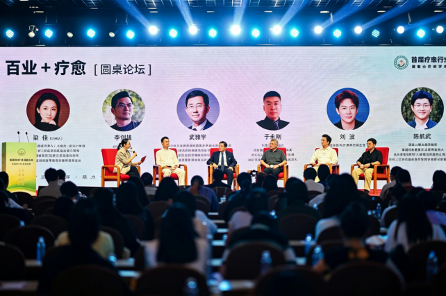 2026首届疗愈行业发展大会暨整合疗愈学术交流会在京举行