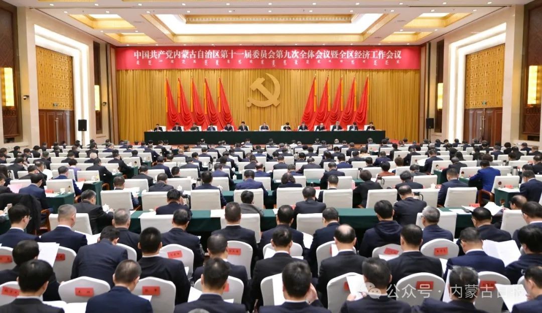 内蒙古自治区党委常委会召开会议：推动中（蒙）医药发展迈出新步伐