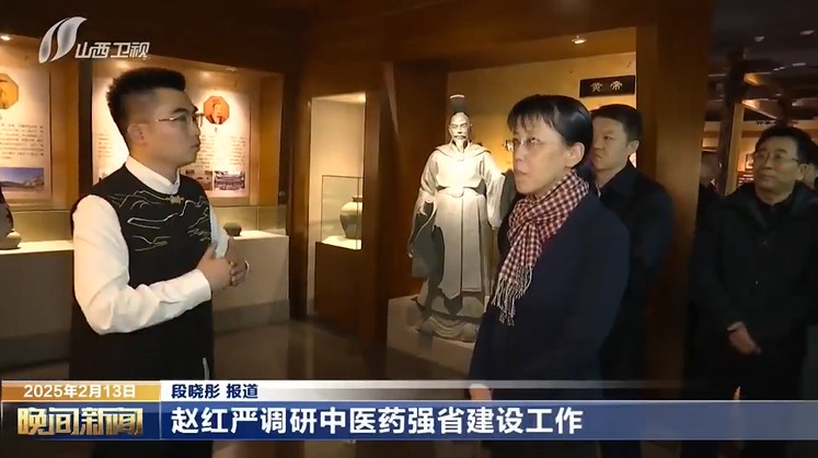 山西省副省长赵红严调研中医药强省建设工作